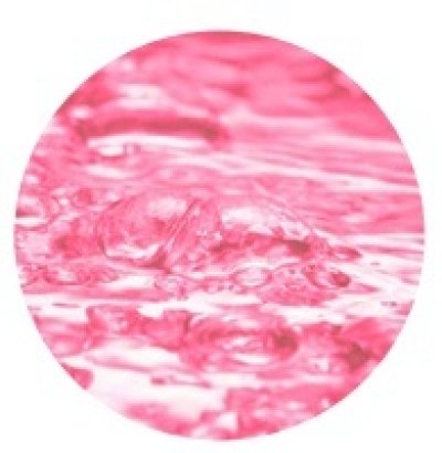 画像1: 浮世の湯 梅春の香り 【10包】